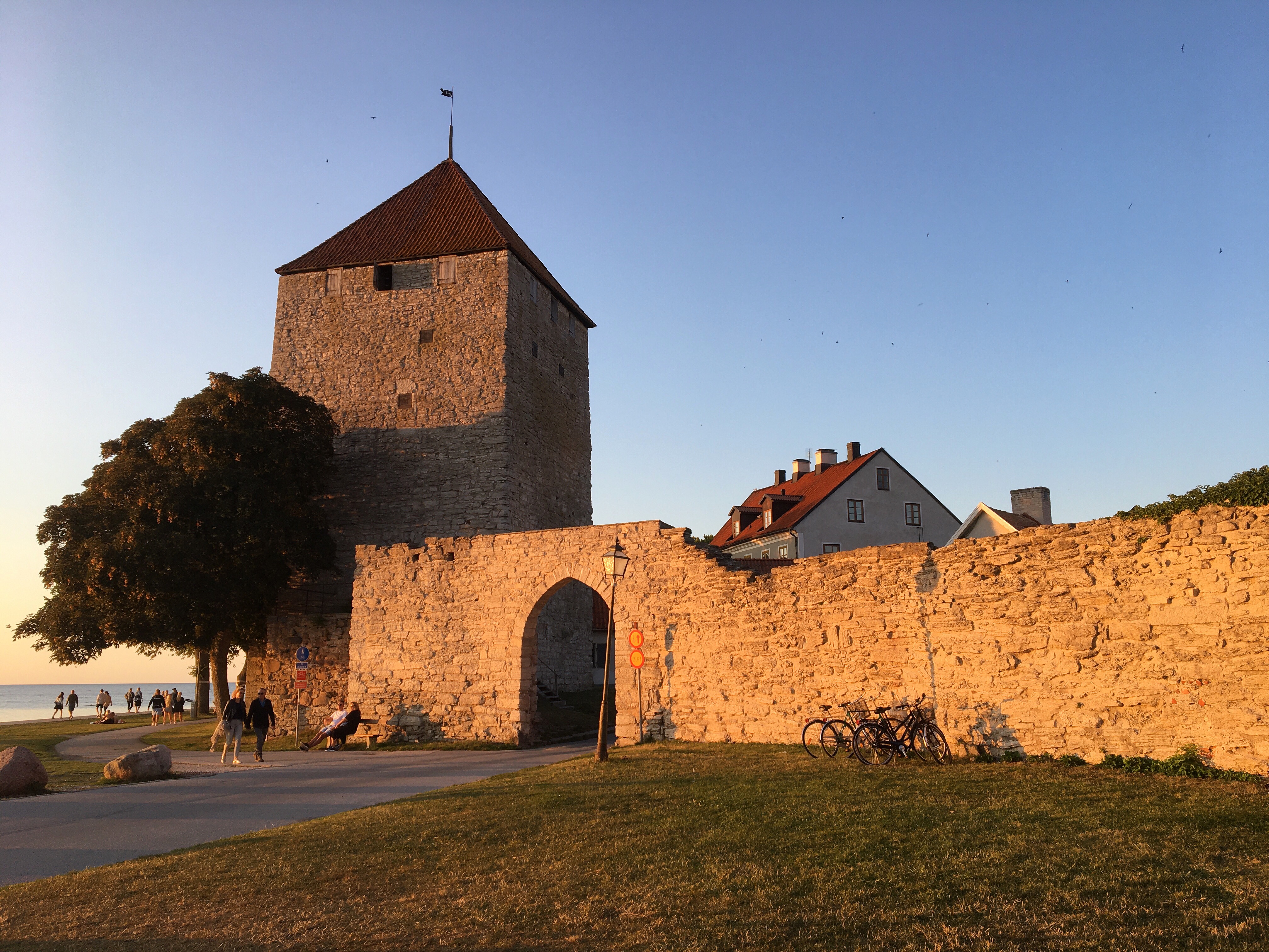 "Lärcentrumfika" i Almedalen